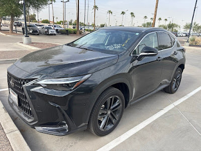 2024 Lexus NX