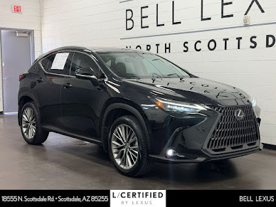 2025 Lexus NX