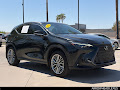 2025 Lexus NX 350h Luxury