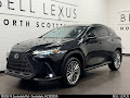 2025 Lexus NX 350h Luxury