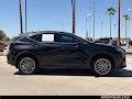 2025 Lexus NX 350h Luxury