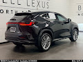 2025 Lexus NX 350h Luxury