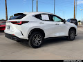 2024 Lexus NX 350 Luxury