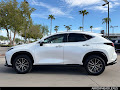 2024 Lexus NX 350 Luxury