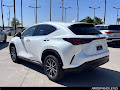 2024 Lexus NX 350 Luxury