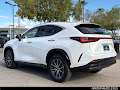 2024 Lexus NX 350 Luxury
