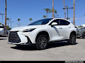 2024 Lexus NX 350 Luxury