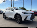 2024 Lexus NX 350 Luxury
