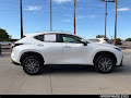 2024 Lexus NX 350 Luxury