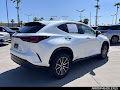 2024 Lexus NX 350 Luxury
