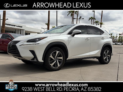 2019 Lexus NX