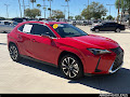 2025 Lexus UX 300h Premium